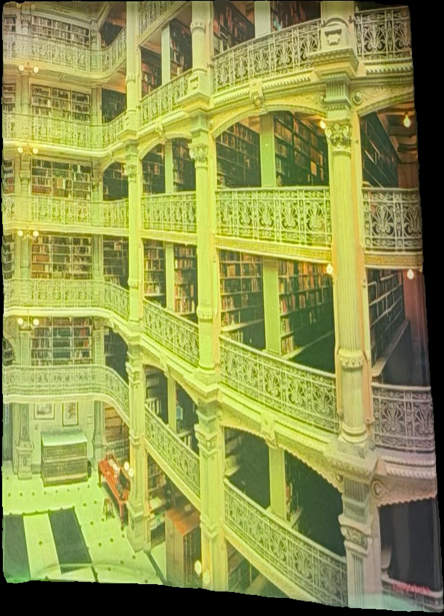 The library book / photographs and afterword by Thomas R. Schiff ; introduction by Alberto Manguel live cover
