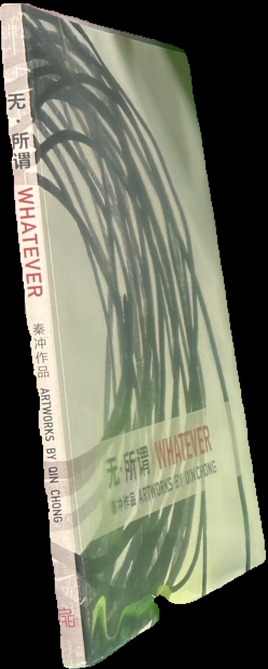 Whatever : artworks by Qin Chong live cover