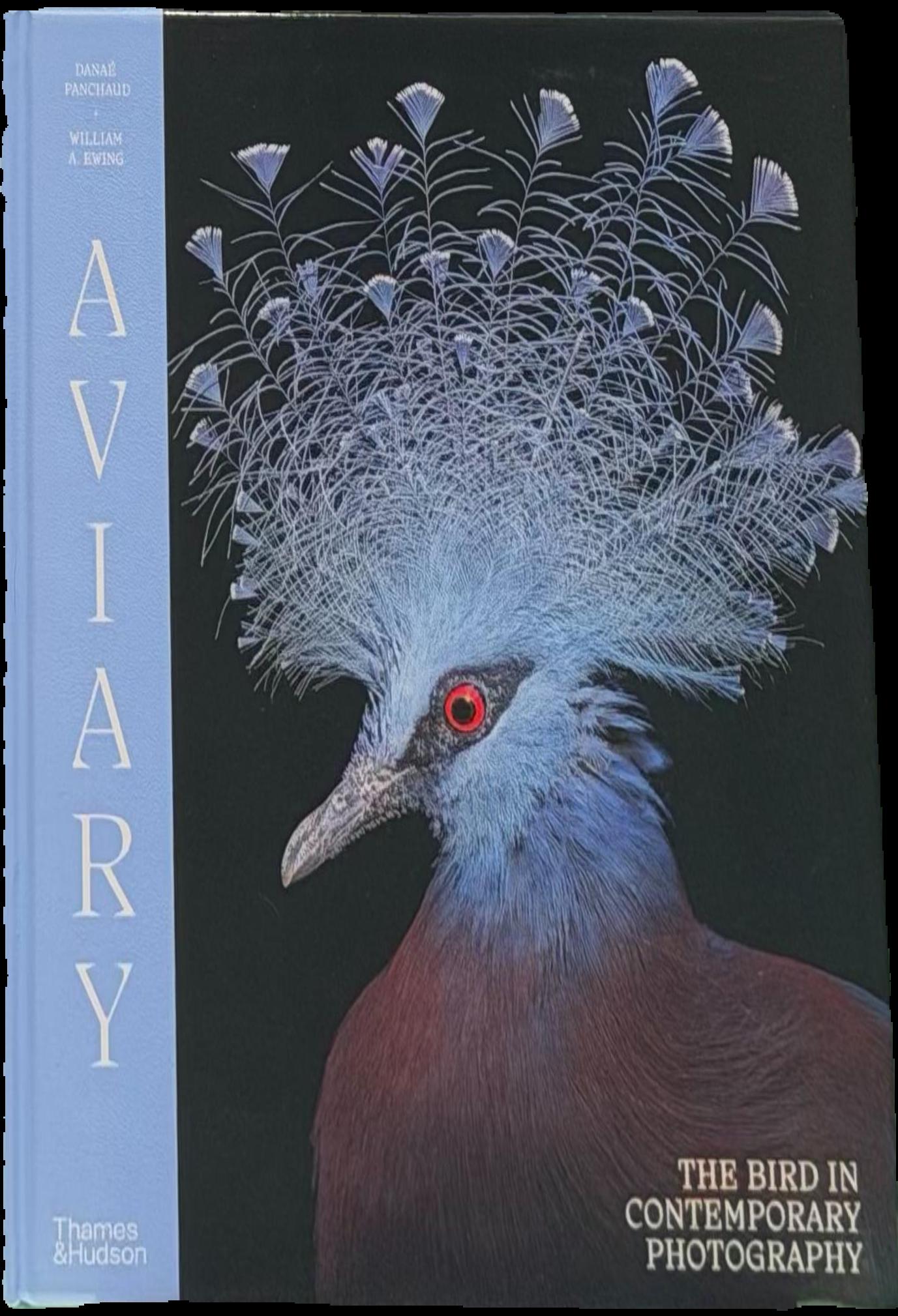 Aviary : the bird in contemporary photography live cover