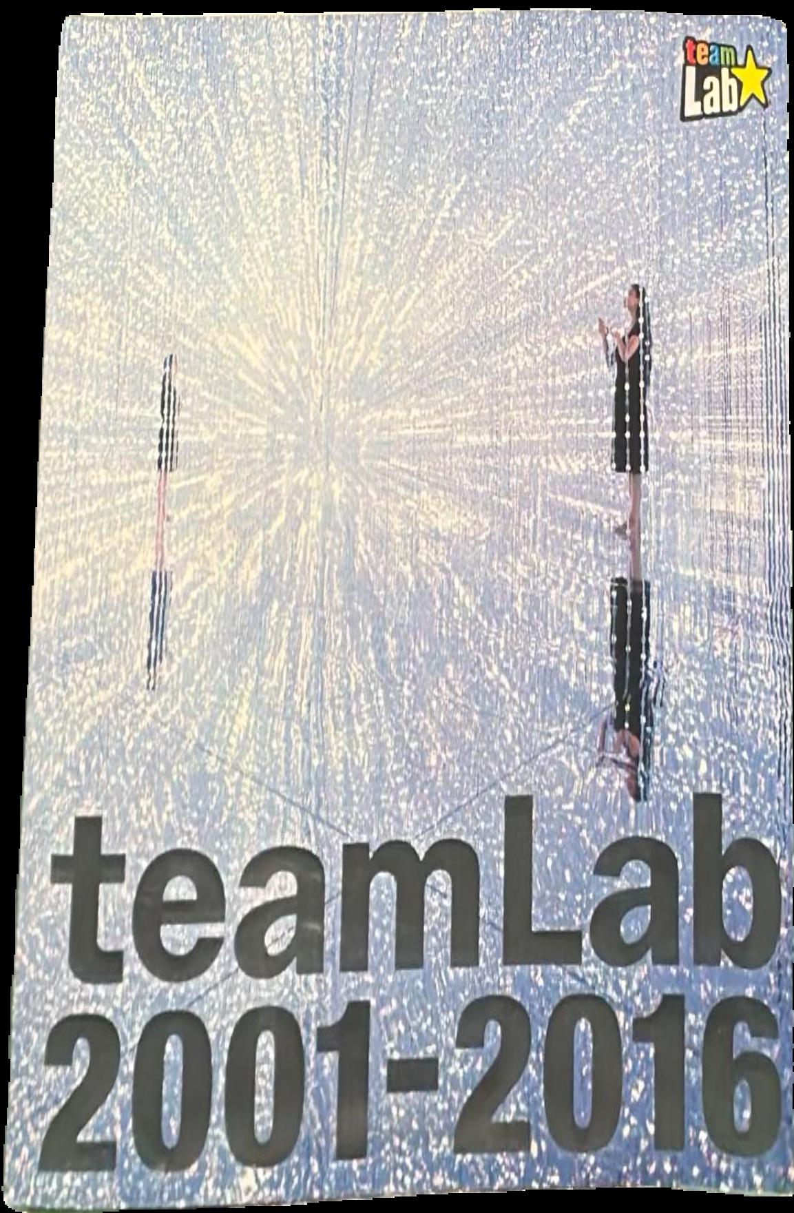 teamLab 2001-2016 live cover