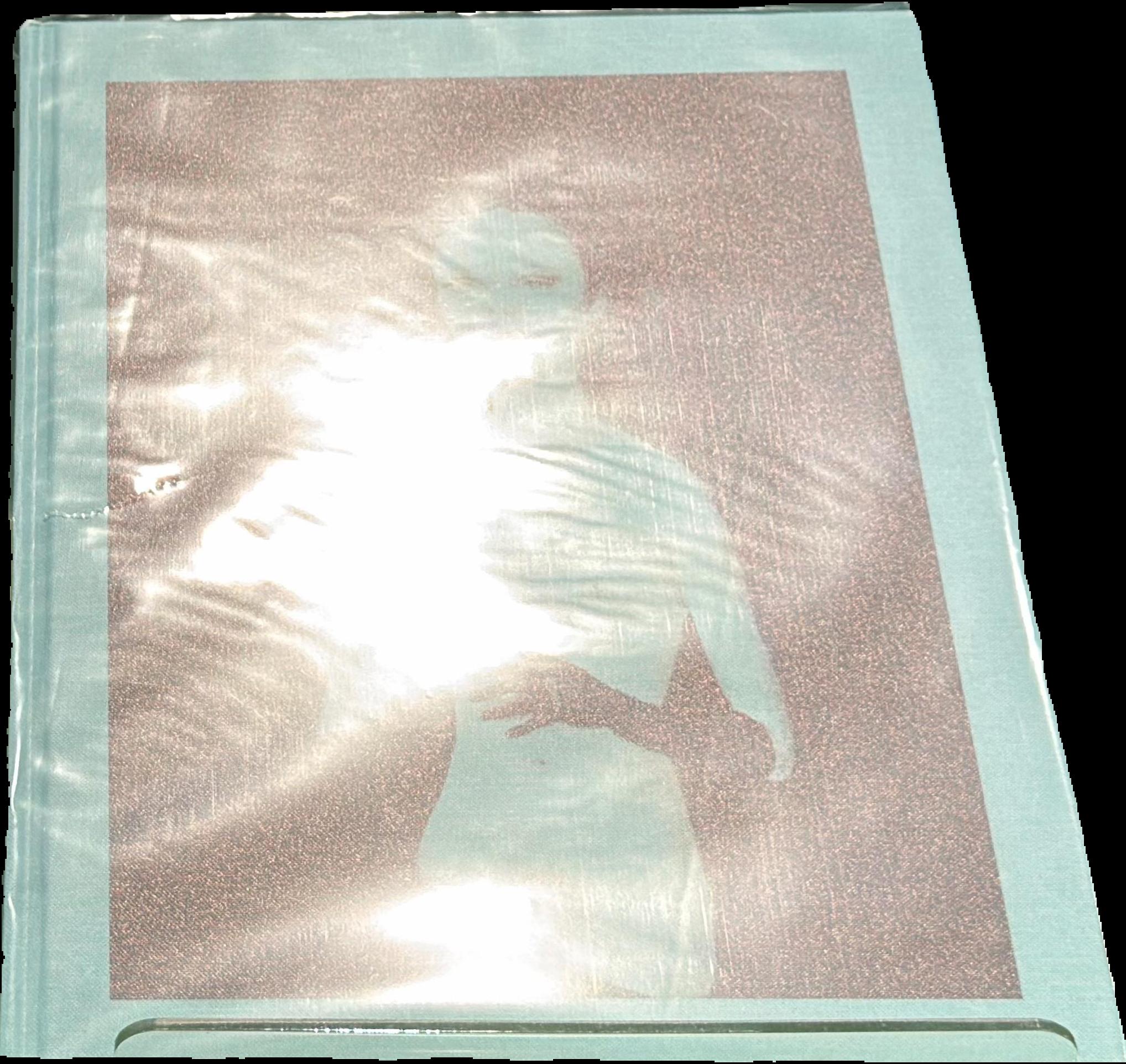 The Silverman Collection live cover