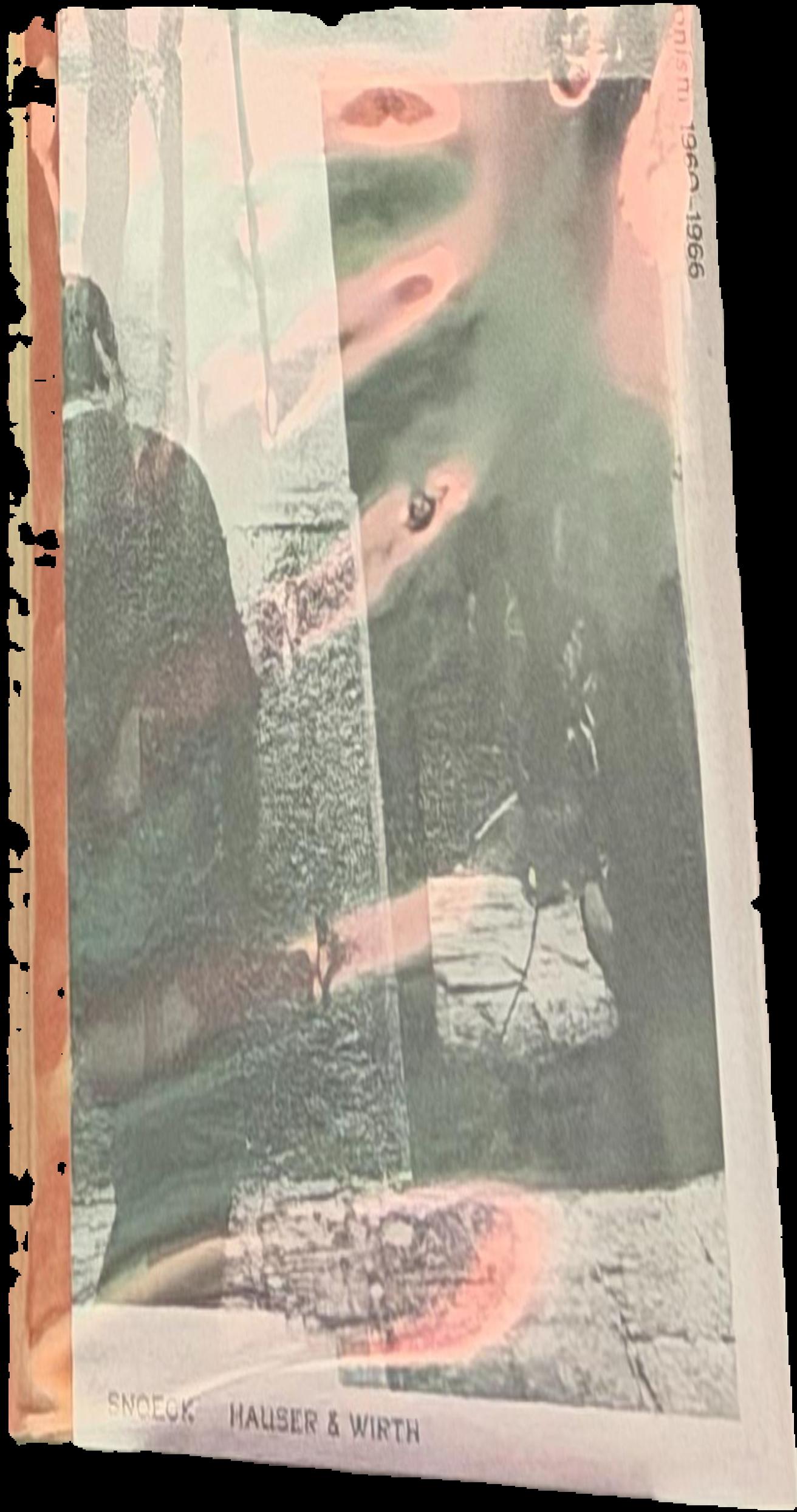 Rite of passage : the early years of Vienna Actionism 1960-1966 : Gunter Brus, Hermann Nitsch, Otto Muehl, Rudolph Schwarzkogler live cover