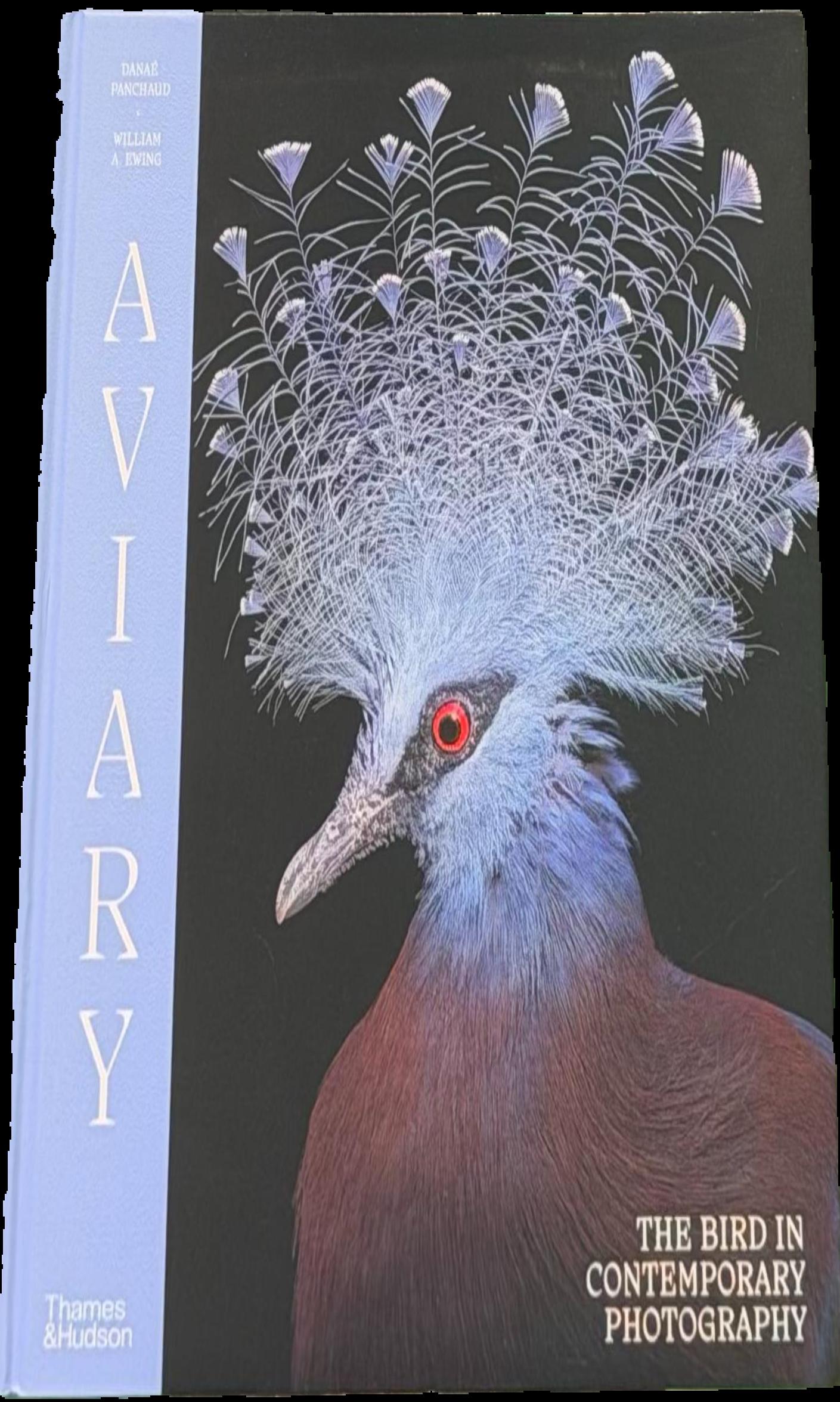 Aviary : the bird in contemporary photography live cover