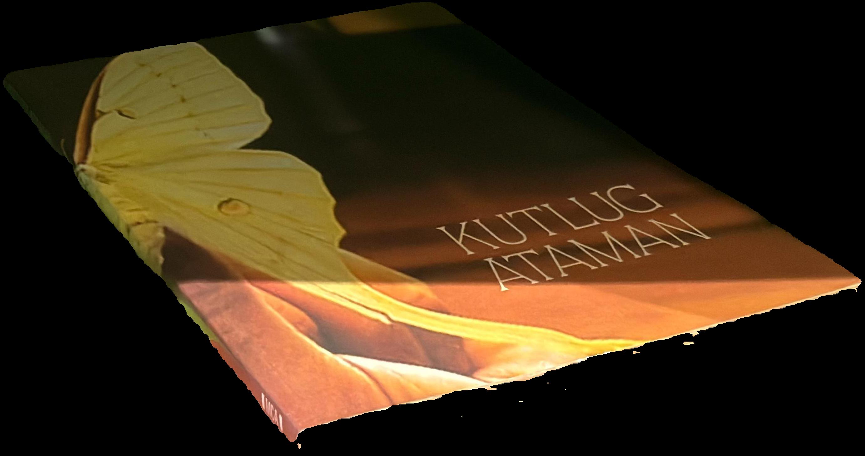Kutlug Ataman : perfect strangers live cover