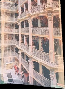 The library book / photographs and afterword by Thomas R. Schiff ; introduction by Alberto Manguel live cover