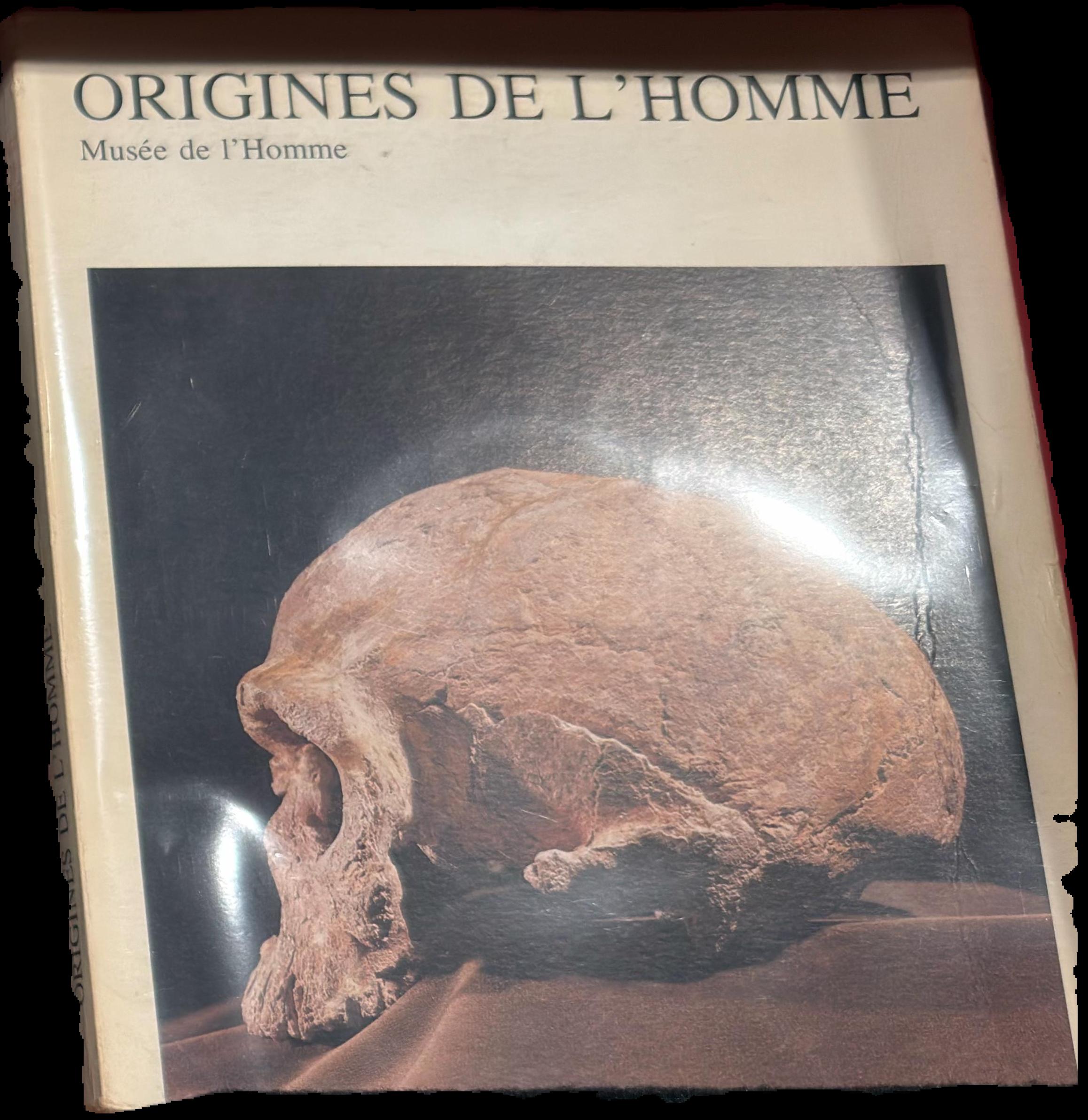 Origines de l'homme live cover