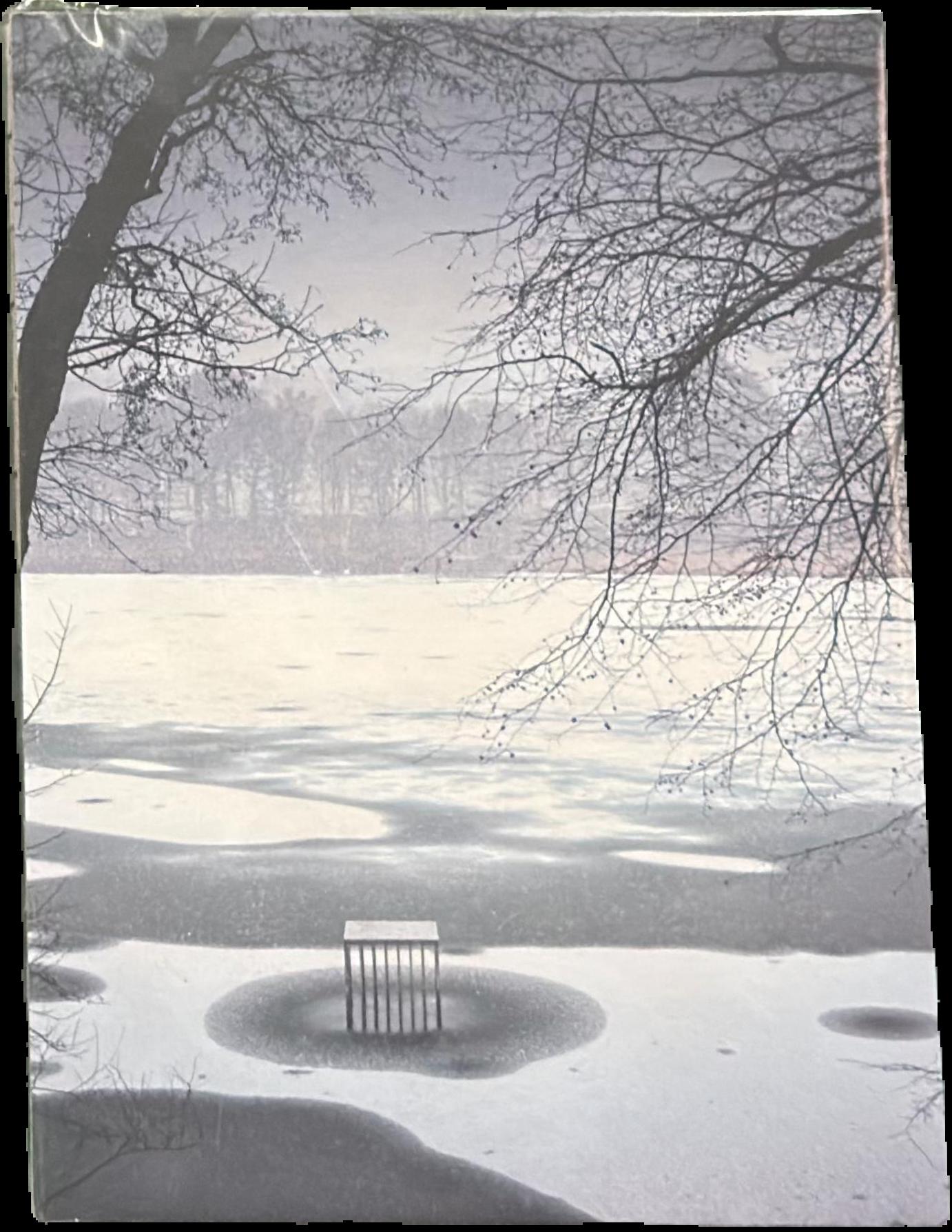 Alfredo Jaar : the garden of good and evil live cover