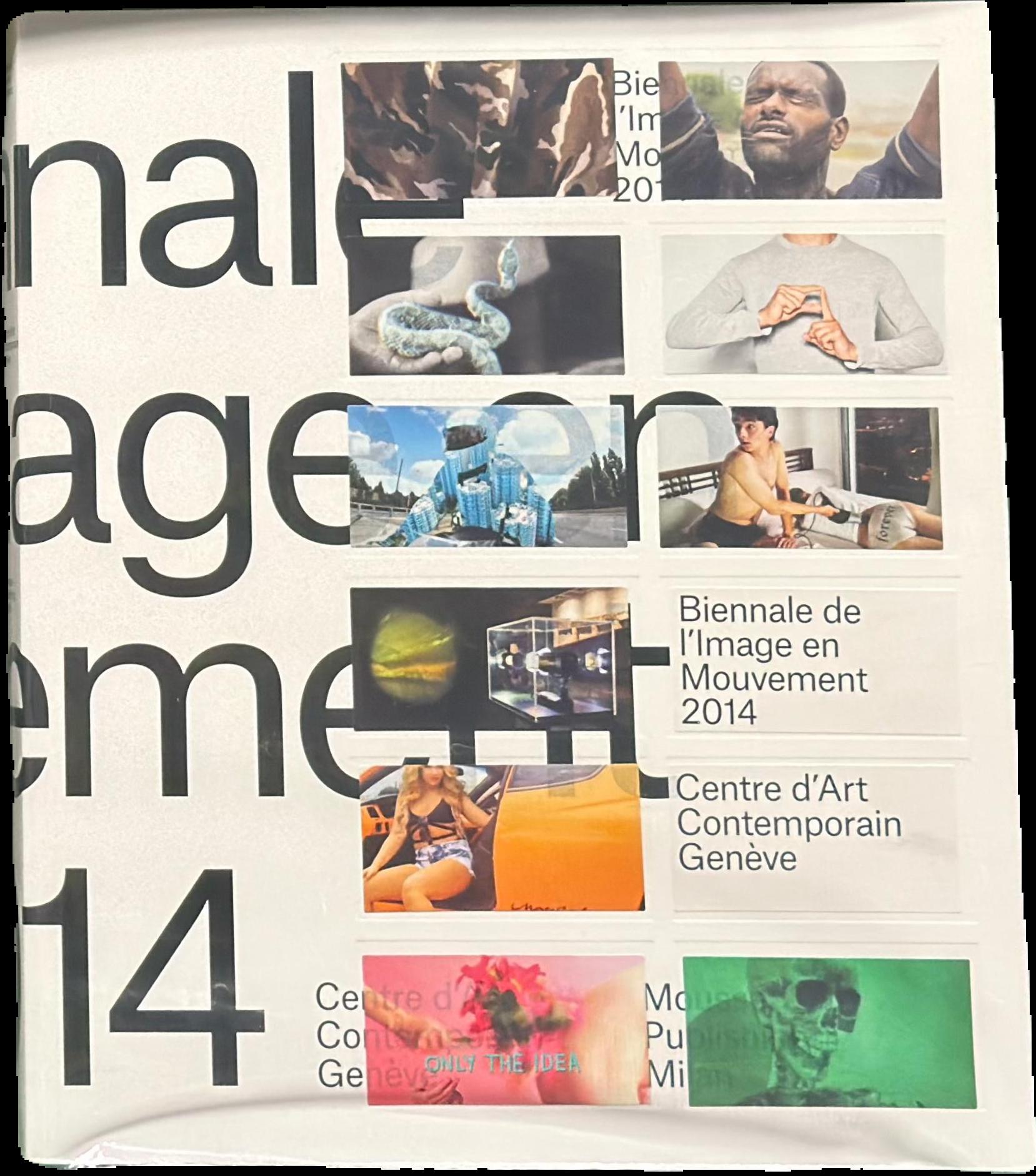 Biennale de l'Image en Mouvement : 2014 / by Andrea Bellini in collaboration with Yann Chateigné and Hans Ulrich Obrist live cover