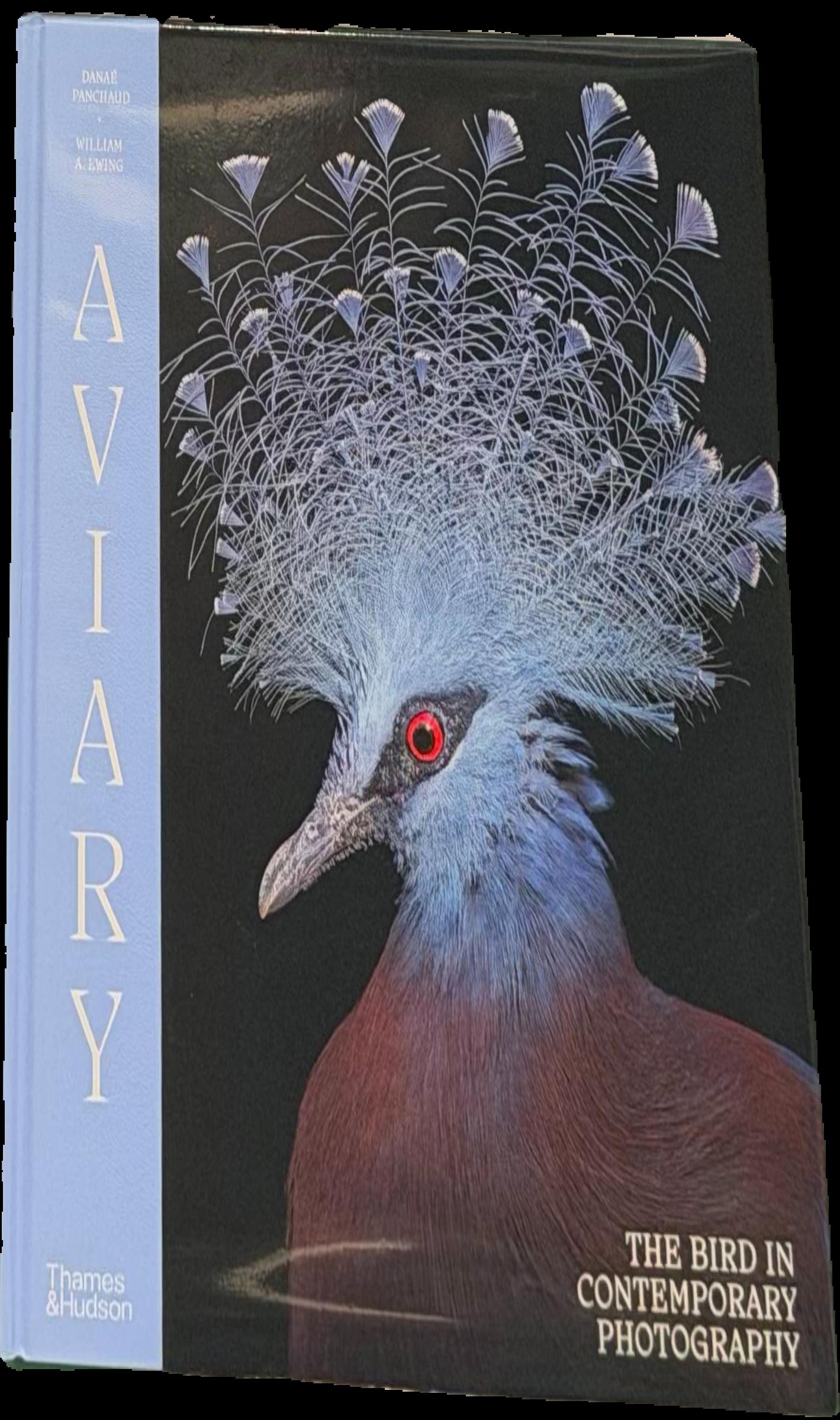 Aviary : the bird in contemporary photography live cover