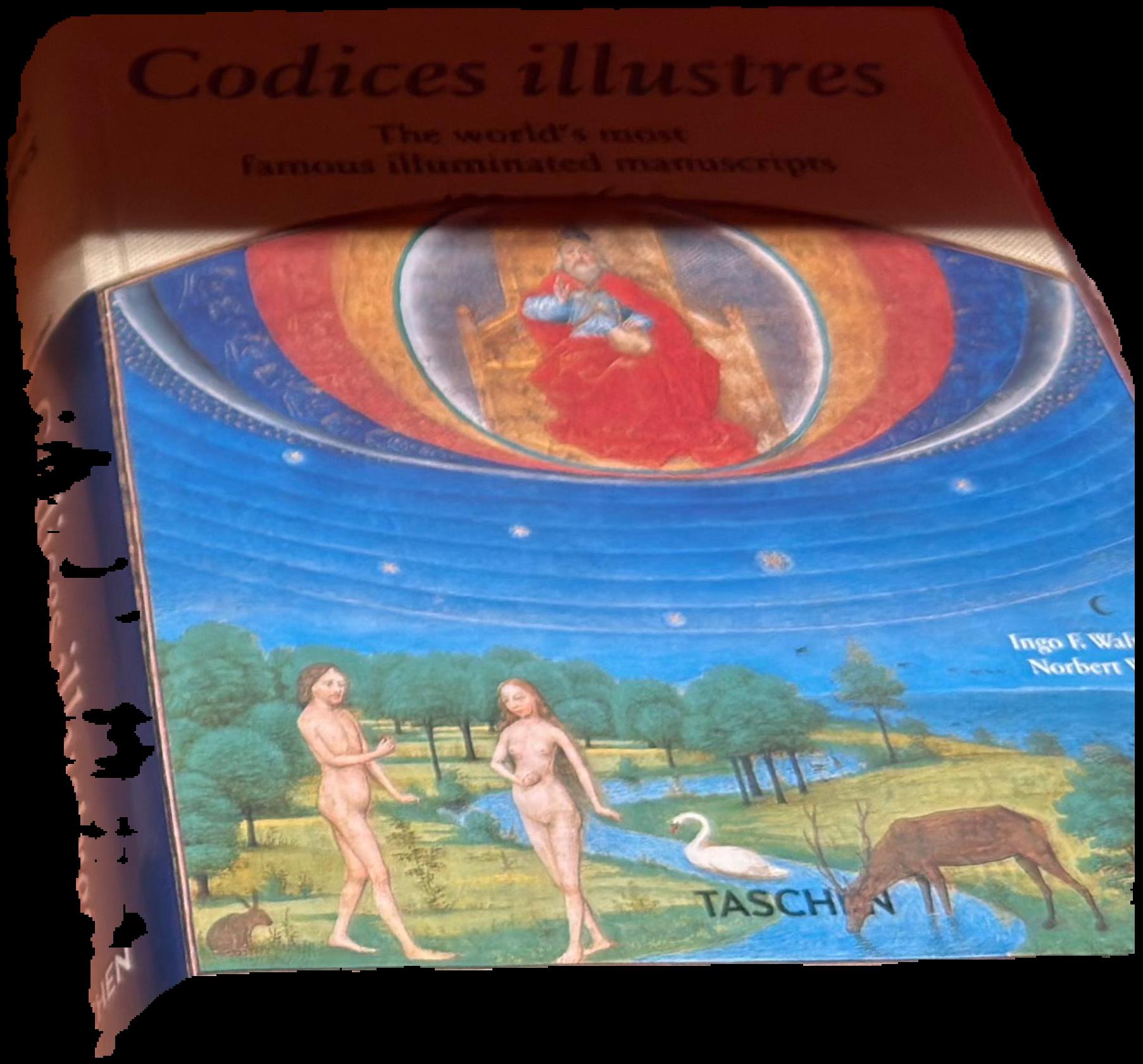Codices illustres : the world's most famous illuminated manuscripts, 400 to 1600 live cover
