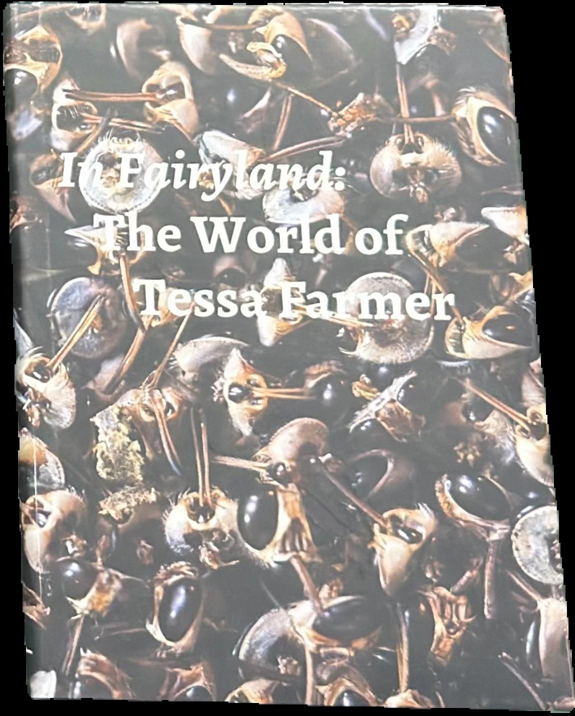 In fairyland : the world of Tessa Farmer live cover