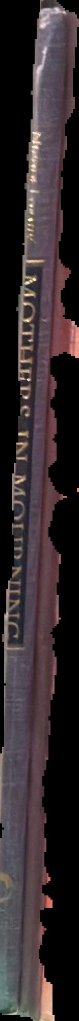 The wordhord : daily life in Old English / Hana Videen live spine