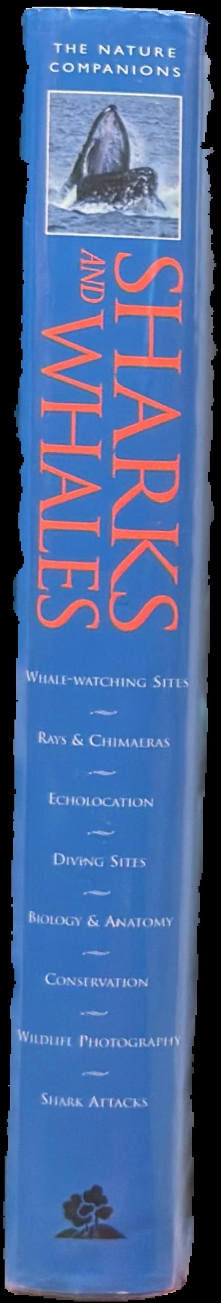 Sharks and whales live spine