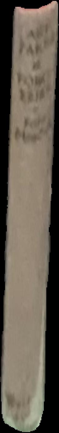 Art fakes and forgeries live spine