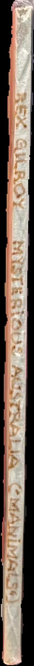 Contemporary Aboriginal art : the AAMU and Dutch collections live spine