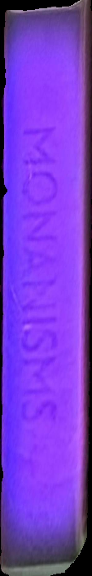 Ombres de Nouvelle-Guinee : arts de la grande ile d'Oceanie dans les collections Barbier-Mueller live spine