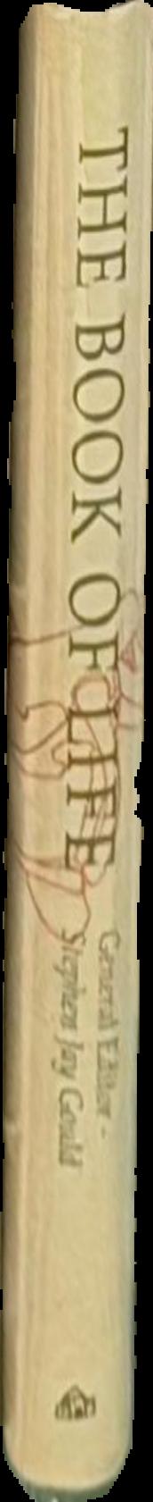 The book of life live spine