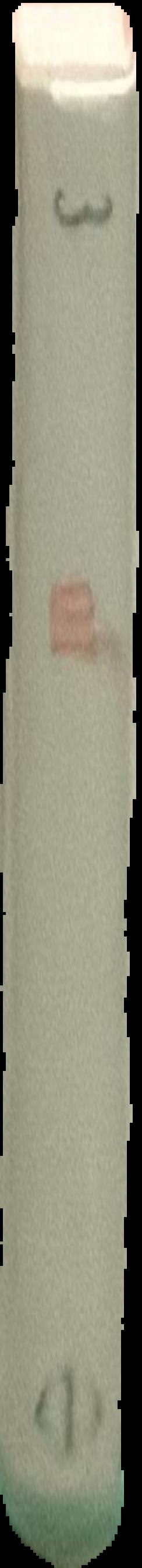  live spine