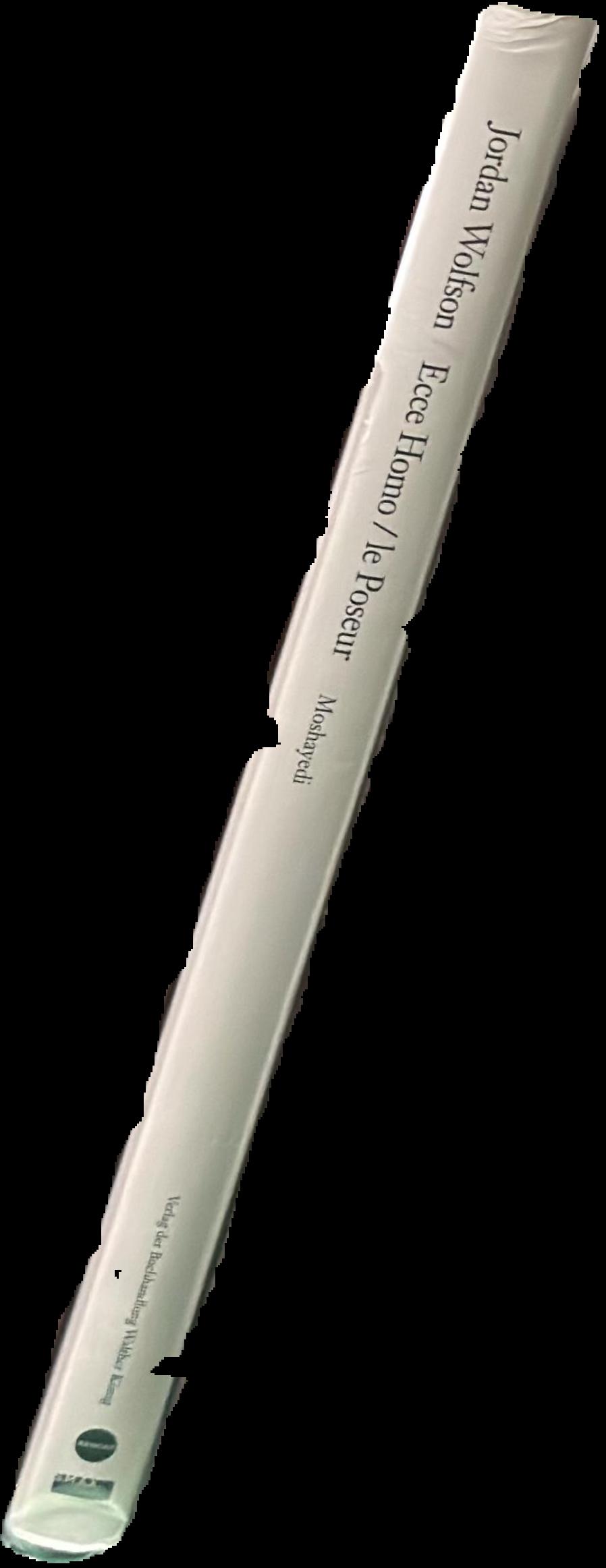 Jordan Wolfson : Ecce homo / le poseur live spine