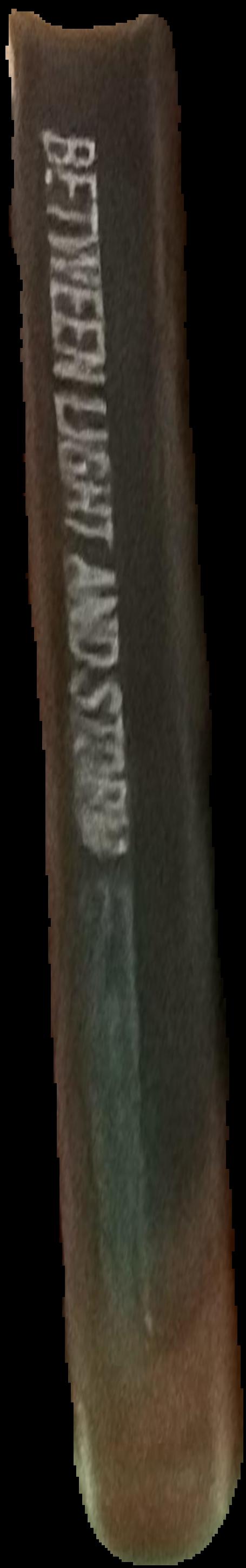 Night of the tiki : the art of Shag, Schmaltz and selected primitive Oceanic carvings live spine
