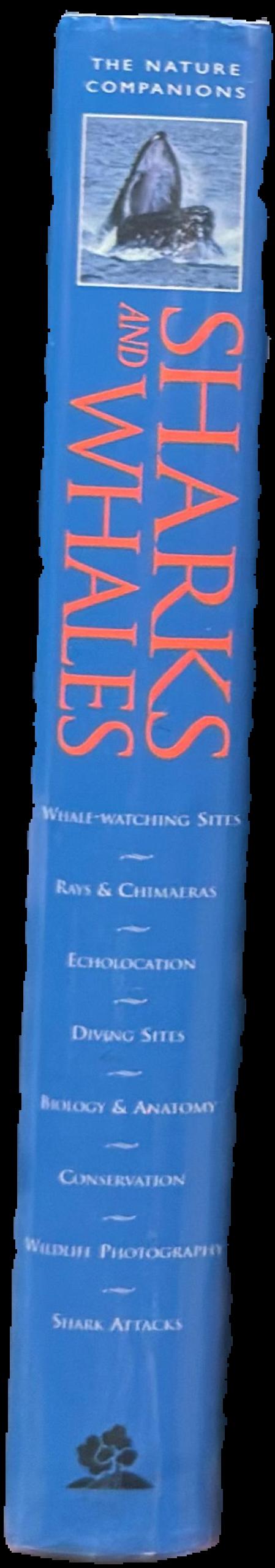 Sharks and whales live spine