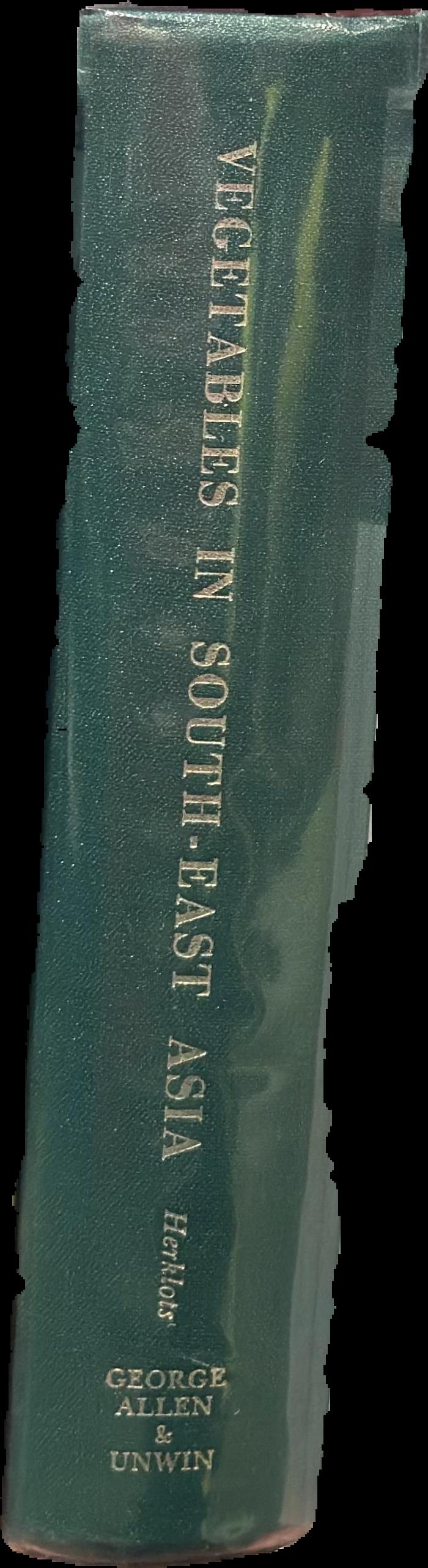 South-east Asia : a social, economic and political geography live spine