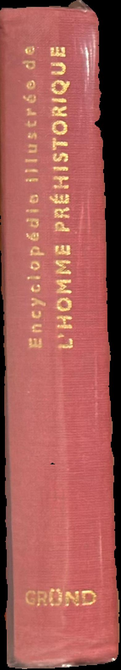 Encyclopédie illustrée de l’homme préhistorique live spine