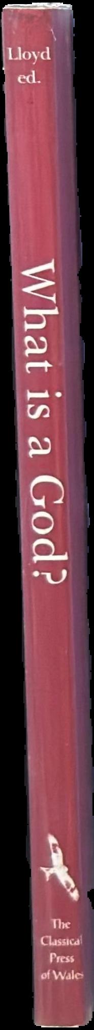 What is a god? : studies in the nature of Greek divinity / editor, Alan B. Lloyd live spine