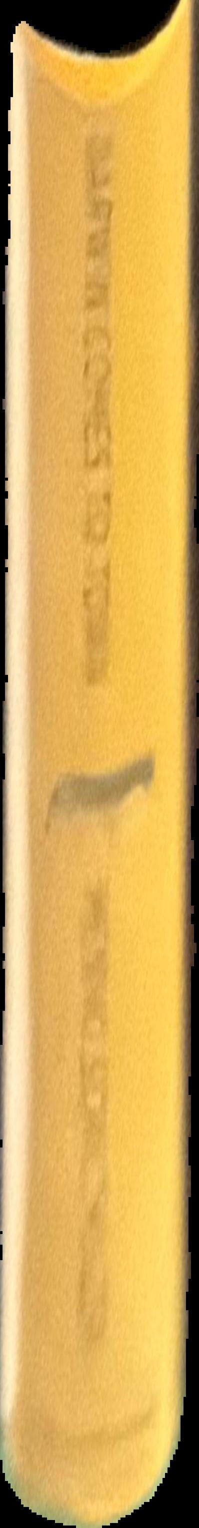 The Penfold story live spine