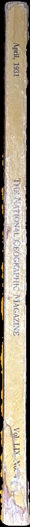 The Australian encyclopaedia : volume nine : appendix and index / Australian Geographic Society live spine