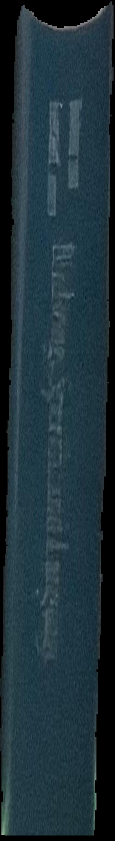 Cathy Staughton's wondrous imgainarium live spine