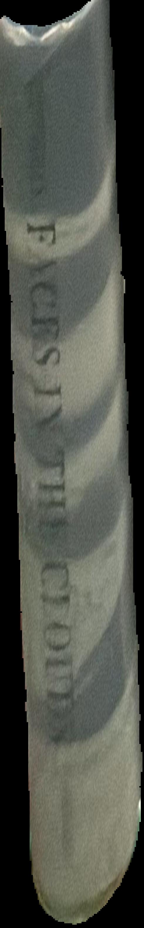 Faces in the clouds : a new theory of religion live spine