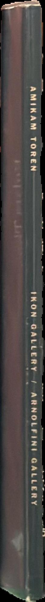 Amikam Toren : 24 November 1990-5 January 1991 live spine