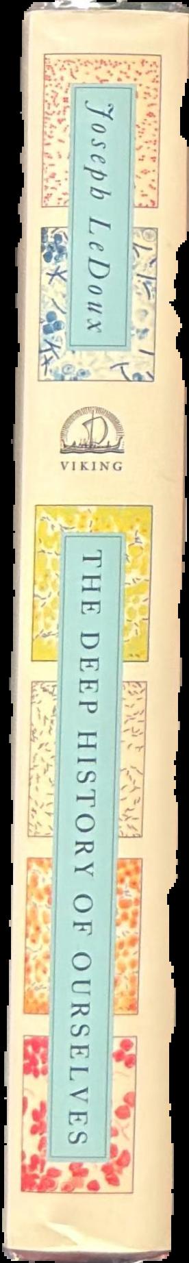 The four realms of existence : a new theory of being human / Joseph E. LeDoux live spine