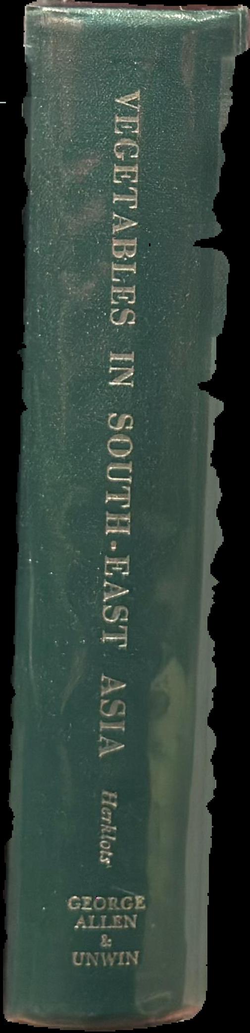 Social structure in Southeast Asia live spine