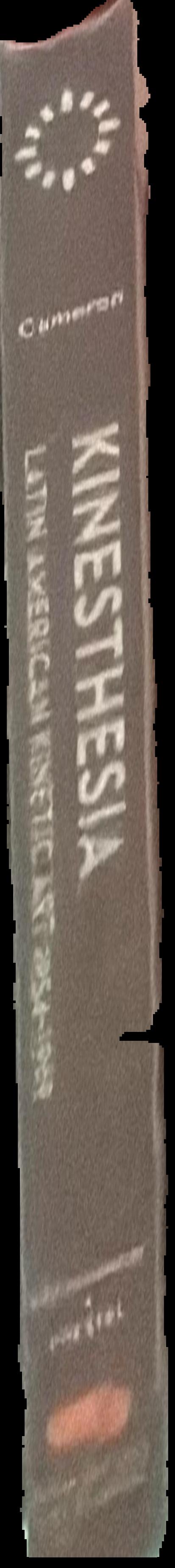 Kinesthesia : Latin American kinetic art, 1954-1969 live spine