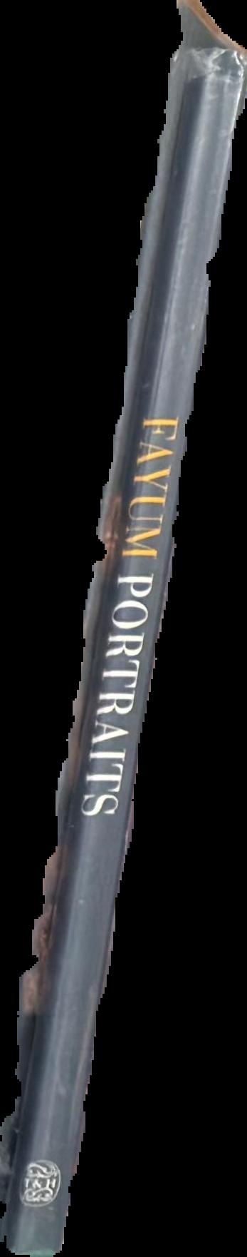 Fayum portraits live spine
