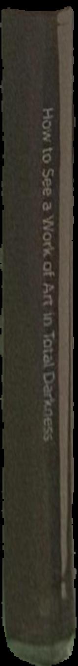 How to see a work of art in total darkness live spine
