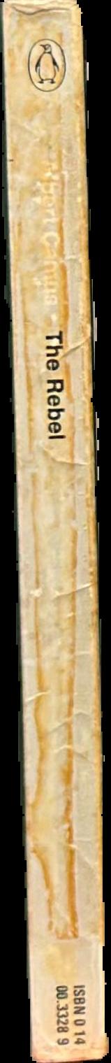The rebel live spine
