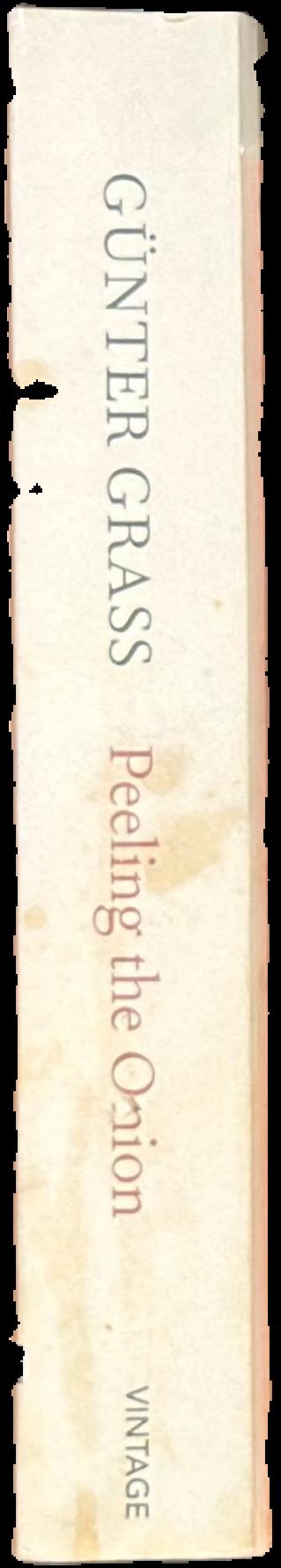 Peeling the onion live spine