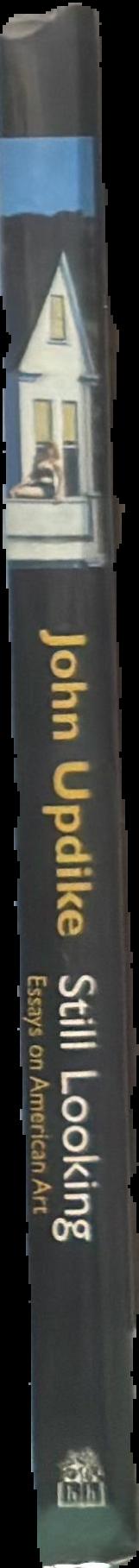Still looking : essays on American art live spine