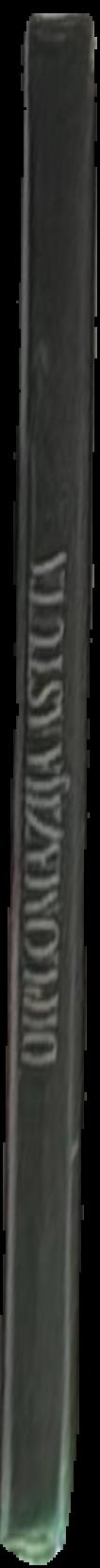 Vito Acconci live spine