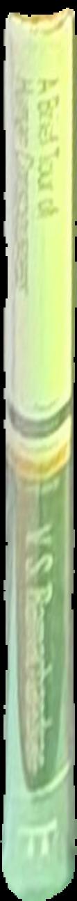 Rapid method of Neo : international auxiliary language : complete course […] and vocabulary / Arturo Alfandari live spine