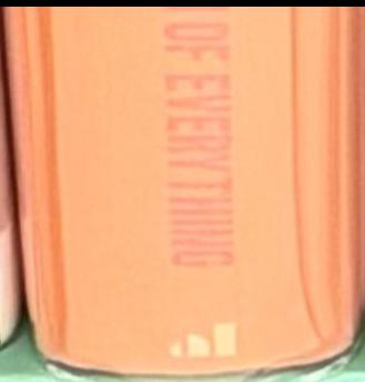 The Museum of Everything : everything #5 live spine