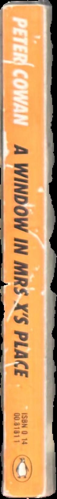 A window in Mrs X's place live spine