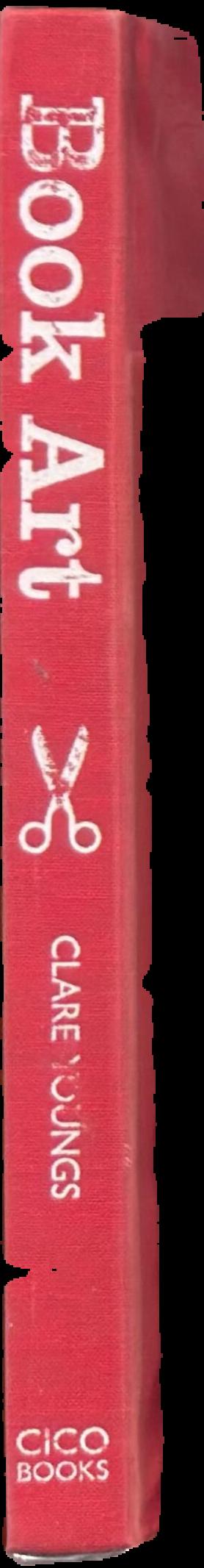Book art : creative ideas to transform your books - decorations, stationery, display scenes, and more live spine