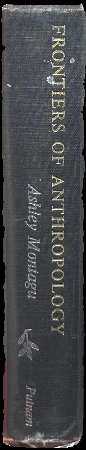 Frontiers of anthropology live spine