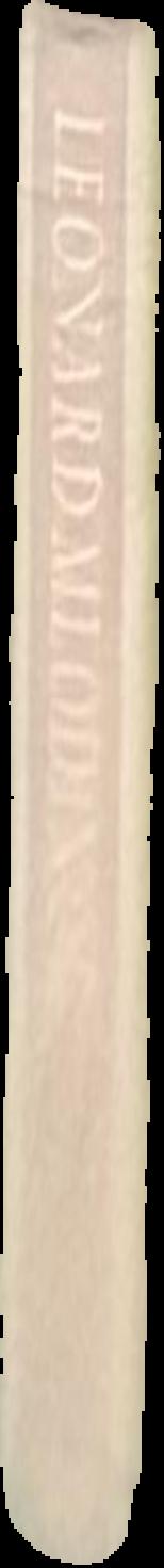 Benevolent asylum : an eclipse of historical fiction / Lily Hibberd live spine