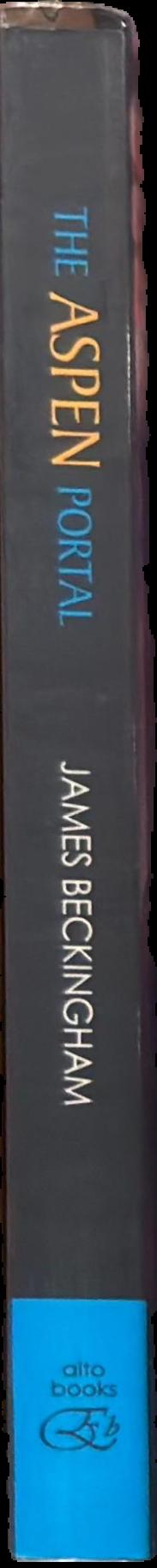 The Aspen portal / James Beckingham live spine