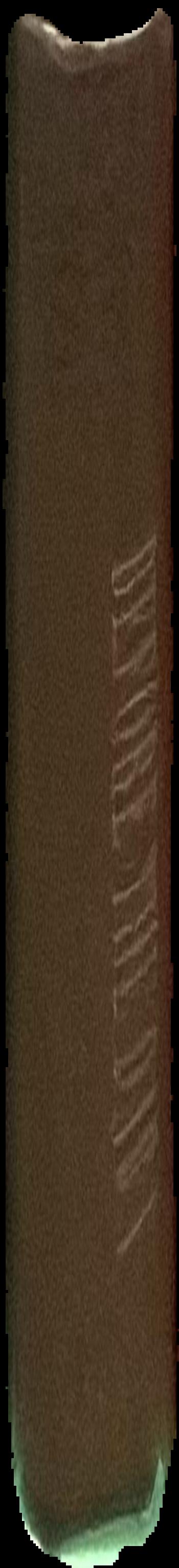 Beyond the dark veil : post-mortem and mourning photography from the Thanatos Archive / [editor, Sue Henger] live spine
